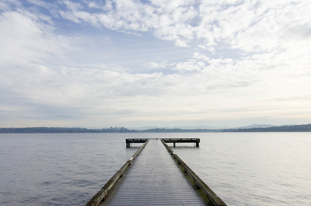 Kirkland residential landscape and architecture