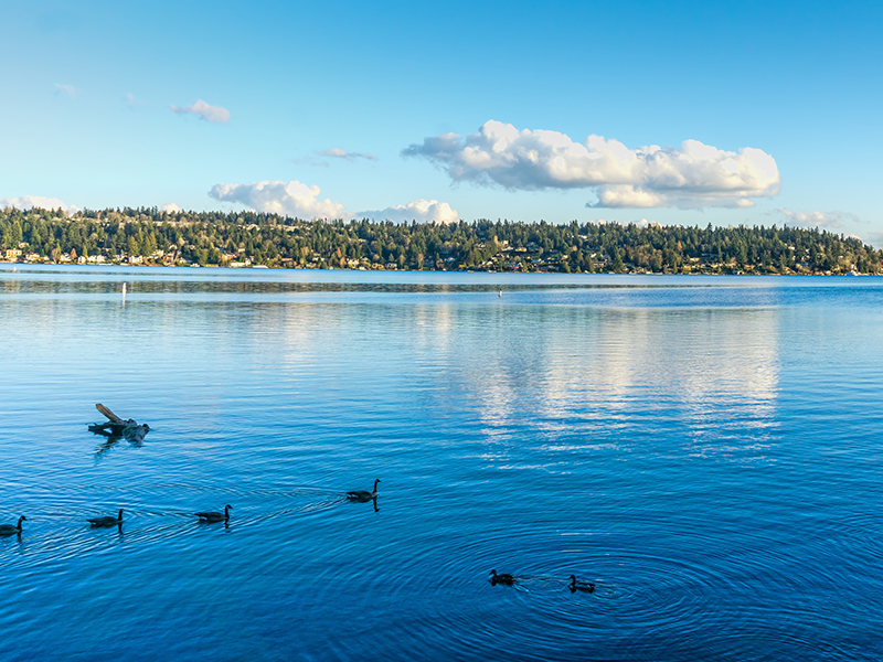 Mercer Island residential landscape and architecture